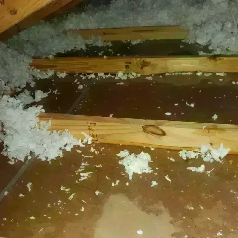 Attic Water Damage in Caruthers, CA